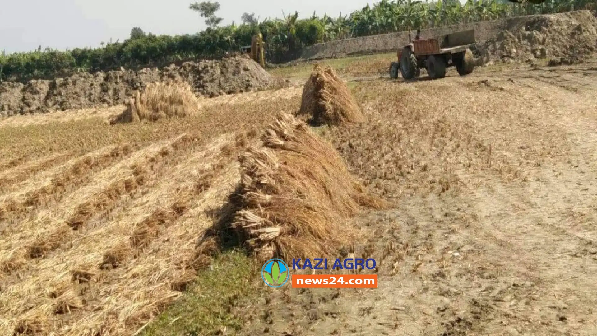 'পুকুর খননের  গ্রাস থেকে কৃষি জমি রক্ষায়  জেলা প্রশাসক মহোদয়ের হস্তক্ষেপ কামনা "